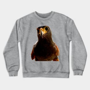 Hi Hawk Crewneck Sweatshirt